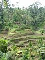 2007 07 17 BALI 0035